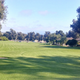 Lots of horses , huge old trees, and expansive lawns in the park at the end